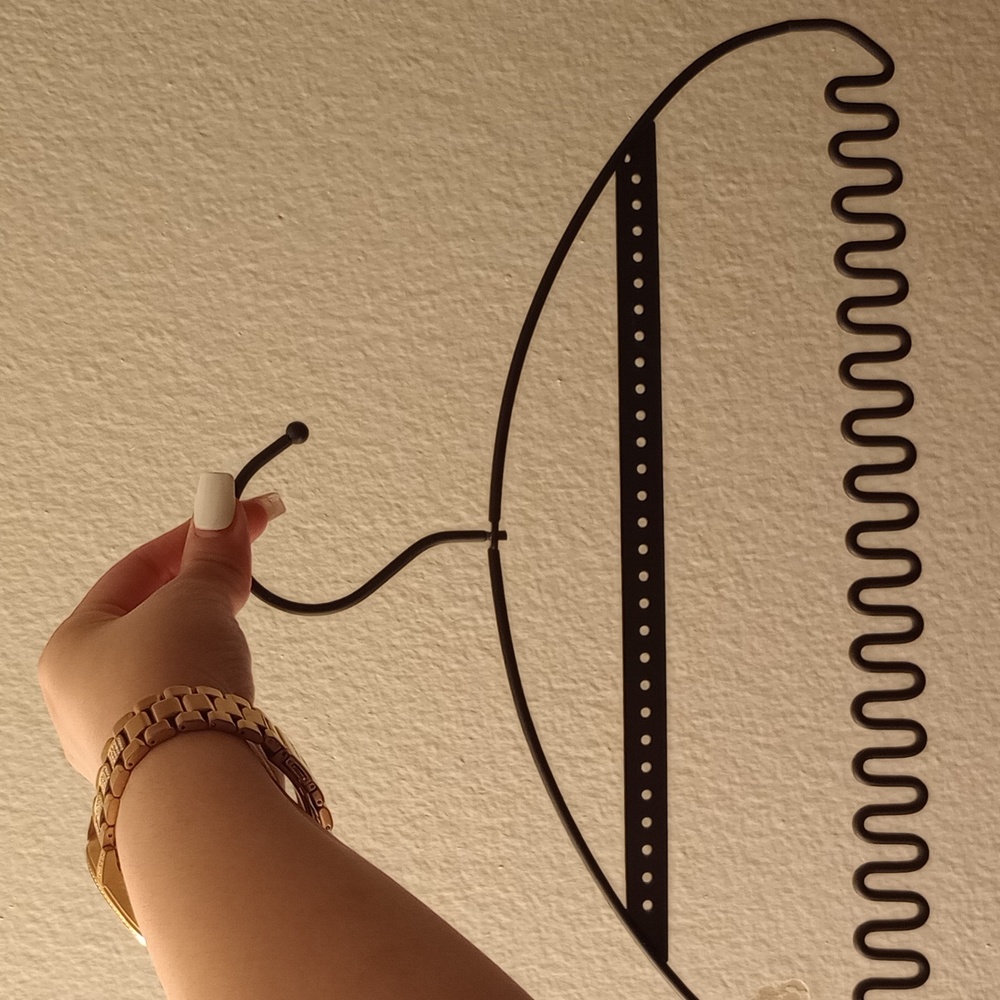 Black Closet hanging jewelry organizer